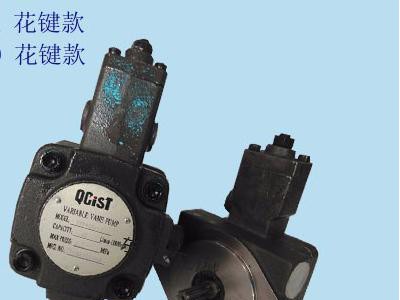 QCIST/秦川VVP40 QCIST油泵
