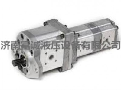Danfoss/丹佛斯 齿轮泵油泵