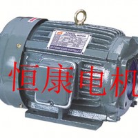 台款配VP30-VP40泵/台款油泵电机专卖/江苏盐城生产厂家/厂家专卖