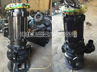 WQ高扬程潜水泵生产厂家 不锈钢多级潜水泵河北天鼎泵业