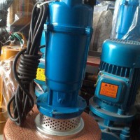 上海宁民水泵，抽水好帮手 潜水泵 小型水泵网底水泵