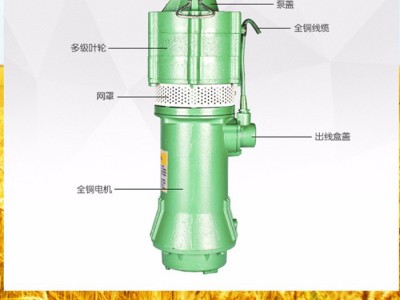 可信QS60-20-5.5 潜水泵
