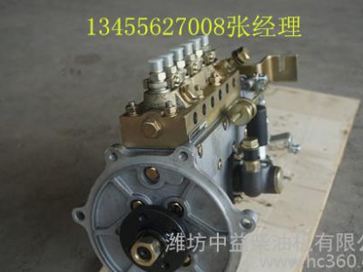 直销潍柴40千瓦柴油机专用配件高压油泵图1