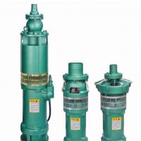 林维盛油浸式潜水泵 QY200-8-5.5 喷泉专用潜水泵 园林灌溉水泵