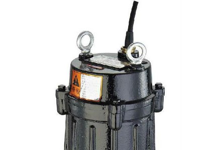 潜水泵65WQ20-15-2.2