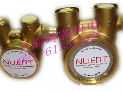 意大利纳特NUERT  -PR高压旋转叶片泵  水泵 油泵 溶剂泵 单相电容外置黄铜增压泵 液压泵  小流量泵图1