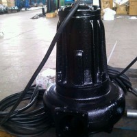 泉尔50QW10-10-0.75 潜水泵