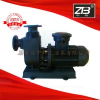 苏州特卖CYZ-A型油泵