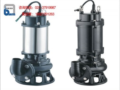 ** 潜水泵 排污泵100~150口径QW(WQ)大流量无堵塞排污泵
