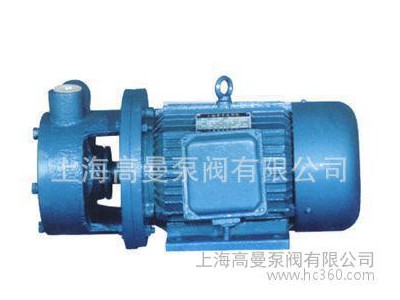 上海旋涡泵生产/W型单级直联旋涡泵、漩涡泵