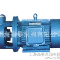 上海旋涡泵生产/W型单级直联旋涡泵、漩涡泵