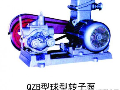 齿轮泵 转子泵 QZB球型转子泵  球型转子泵