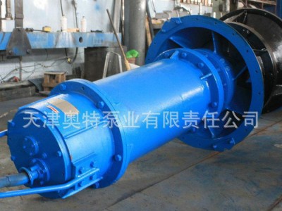 专业生产 潜水混流泵 潜水轴流泵价格优惠 耐腐蚀轴流泵