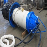 东坡轴流泵 防汛水泵 大排量潜水泵 低扬程大流量潜水混流泵