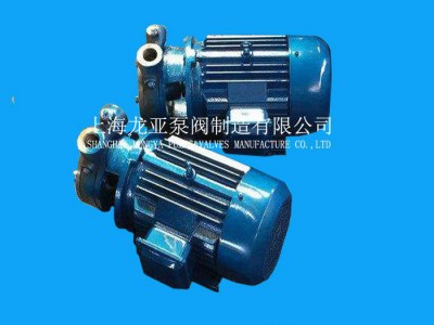 销售2W12-250旋涡泵 漩涡式自吸电泵 IW型旋涡泵图1