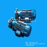 销售2W12-250旋涡泵 漩涡式自吸电泵 IW型旋涡泵