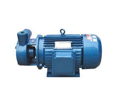 W型漩涡泵 1W2.5-12