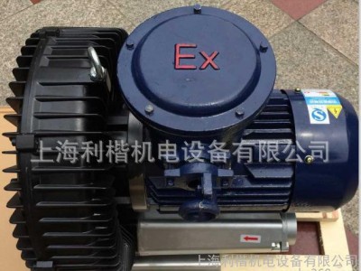 风帕克防爆风机 漩涡气泵 漩涡风机 高压风机 鼓风机 风帕克图1