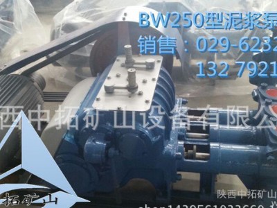 BW-250型泥浆泵 钻探用泥浆泵混流泵