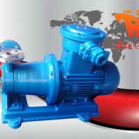 供应海坦泵业CW型磁力漩涡泵