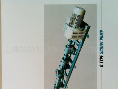上海凯凯牌G20-1调速电机螺杆泵 直销 质量三包