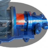 晟华（SAHA)转子泵-可根据客户要求特殊定制泵