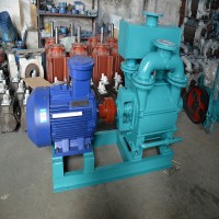 鲁峰泵业 2BE203 水环式真空泵 水环真空泵