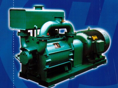SKA-20 水环真空泵