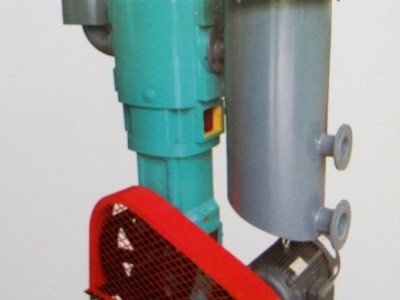 沃仕玛WLW-B型立式无油真空泵真空泵
