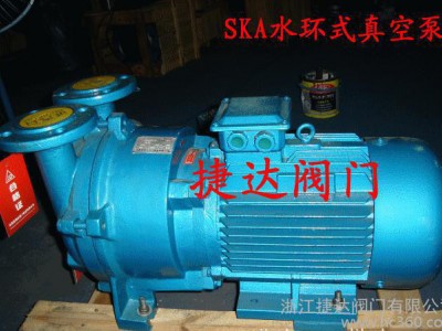 SKA水环式真空泵