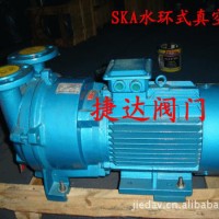 SKA2060水环式真空泵