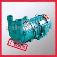 Z-G SZ-0.5 水环式真空泵