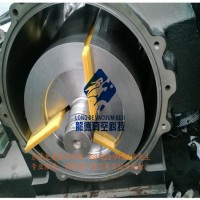 供应湖北宜昌莱宝真空泵叶片SV300 德国LEYBOLD莱宝真空泵配件