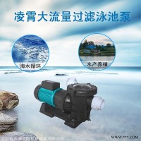 220V/380V大型游泳池水处理设备 带过滤网STP200海水循环泵