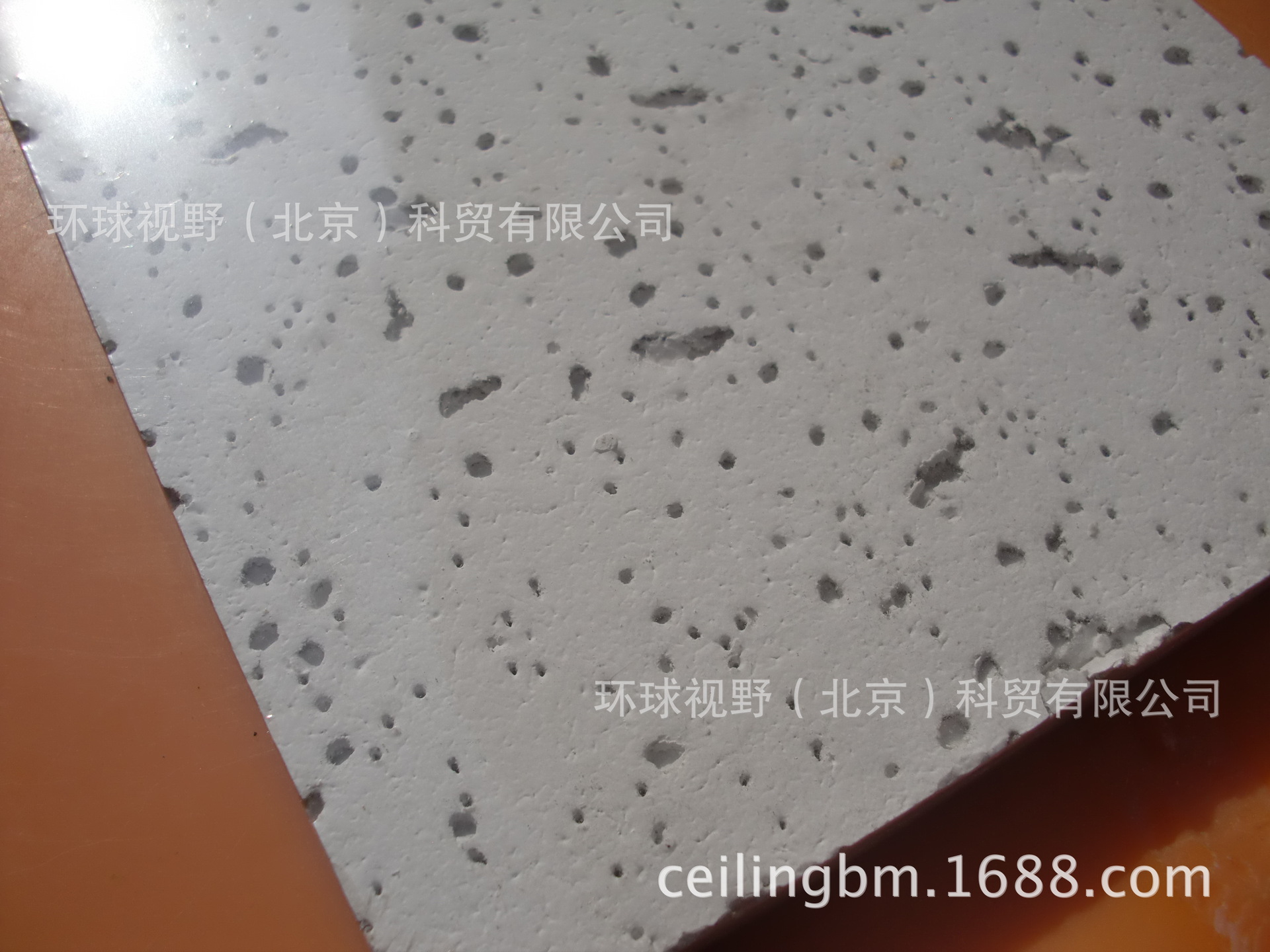 毛毛虫RH85 (3)
