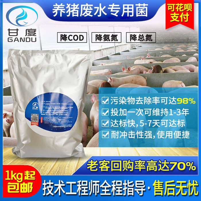 养猪废水菌剂 污水处理药剂 降氨氮菌曝气池细菌快速挂膜 污水处理菌图3