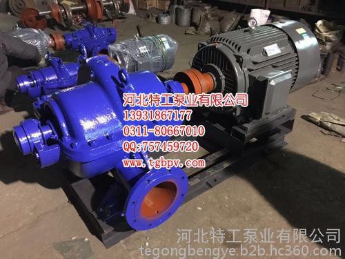 特工泵业 KQSN250-N6/356 大流量单级双吸中开泵 农田节水灌溉水泵 给水泵 特工泵业 KQSN250-N6/356 大流量单级双吸中开泵 农田节水灌溉水泵 给水泵