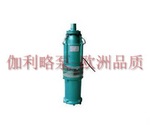 QY型充油式潜水电泵,【伽利略Galileo》欧洲品质】