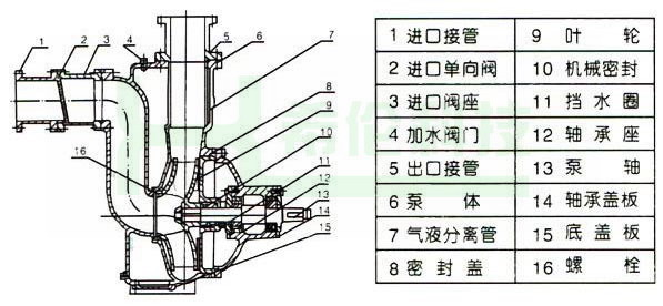 ZWL自吸排污泵结构图