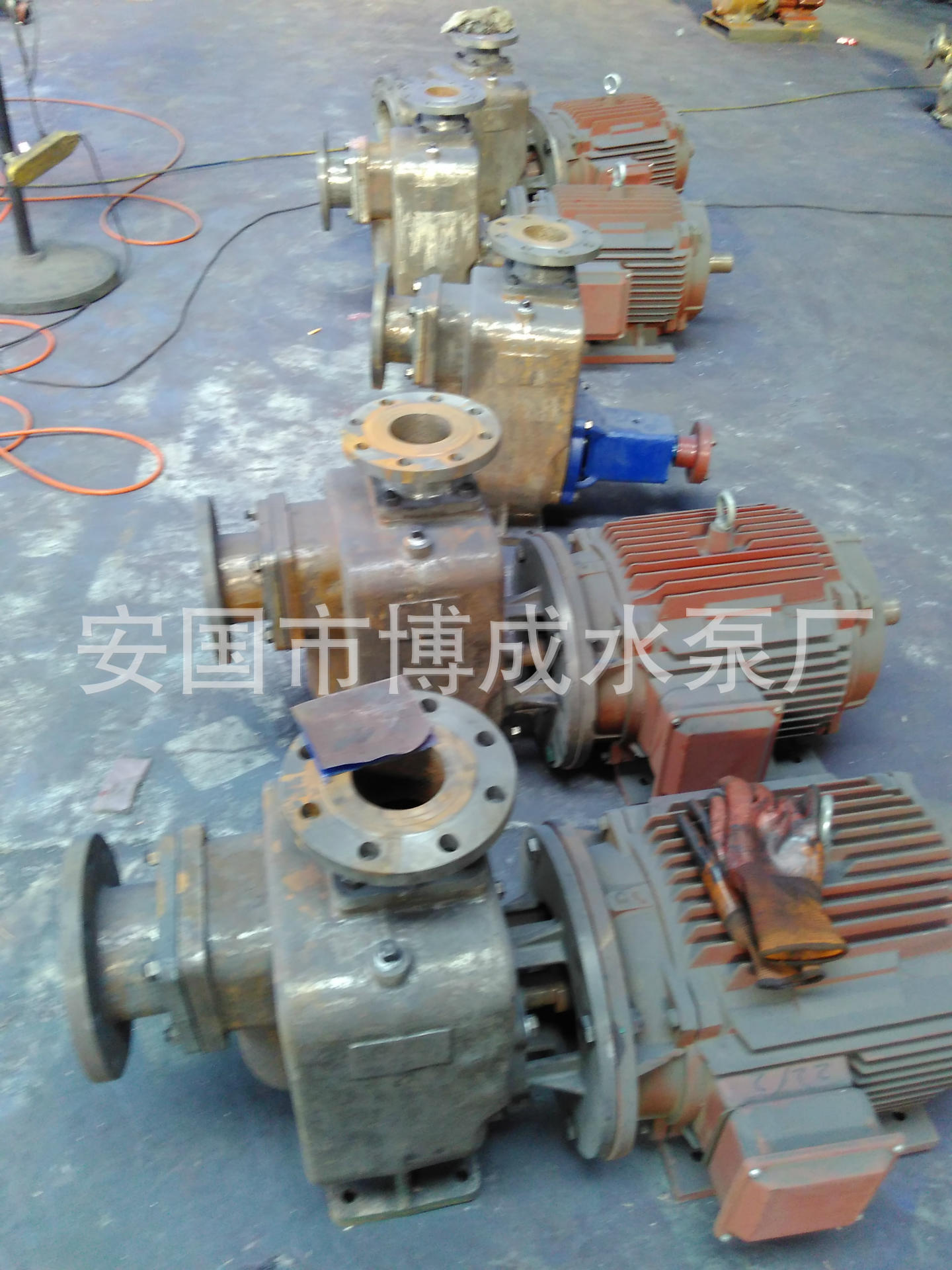 QQ图片20160609164538