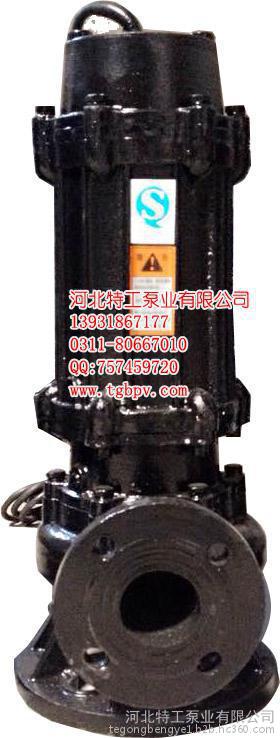 排污潜水泵 立式耐腐蚀泵200QW400-13-30