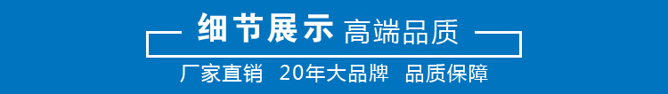 泊头齿轮油泵