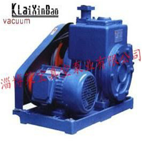 淄博莱宝2BV 水环式真空泵 水环式真空泵及压缩机定金