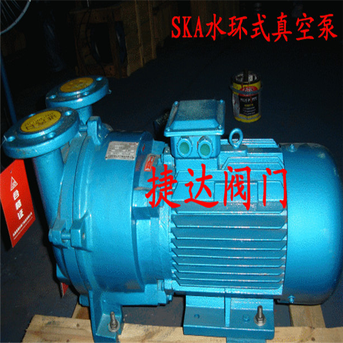 SKA2060水环式真空泵图2
