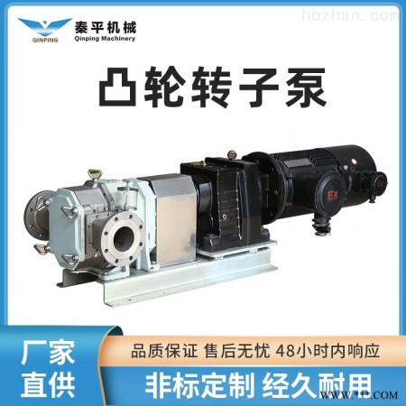 电动石油化工输送泵 转子泵图1