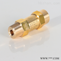 SFA-22C300T  氟利昂安全阀 ZNLI 黄铜 SDA-22C300T