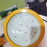 QWD  防爆免维明灯QWD110-30W LED