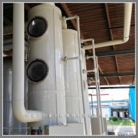 BJS  盐酸废气吸收塔供应