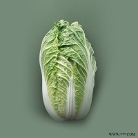 白菜检测