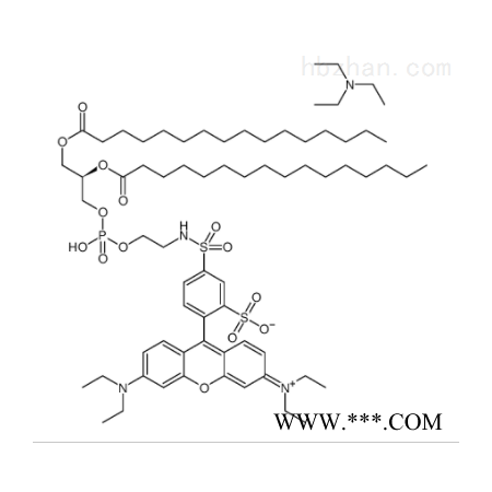 HLSJ10074  罗丹明DHPE
